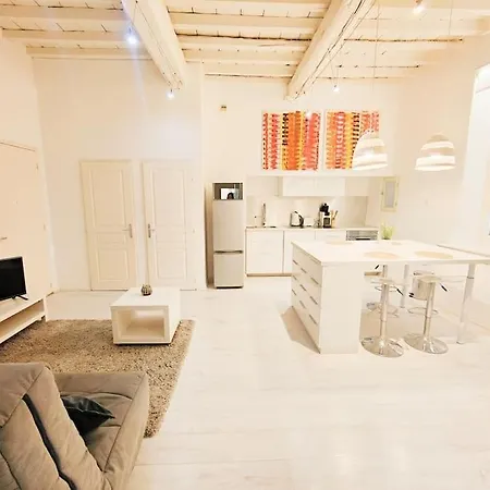 Appartamento Le Flocon 2 Maison Carree Centre Historique Nîmes