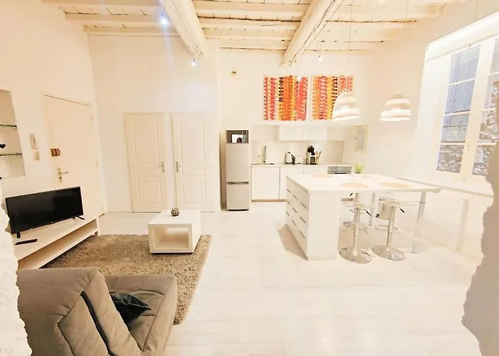 Διαμέρισμα Le Flocon 2 Maison Carree Centre Historique Νιμ